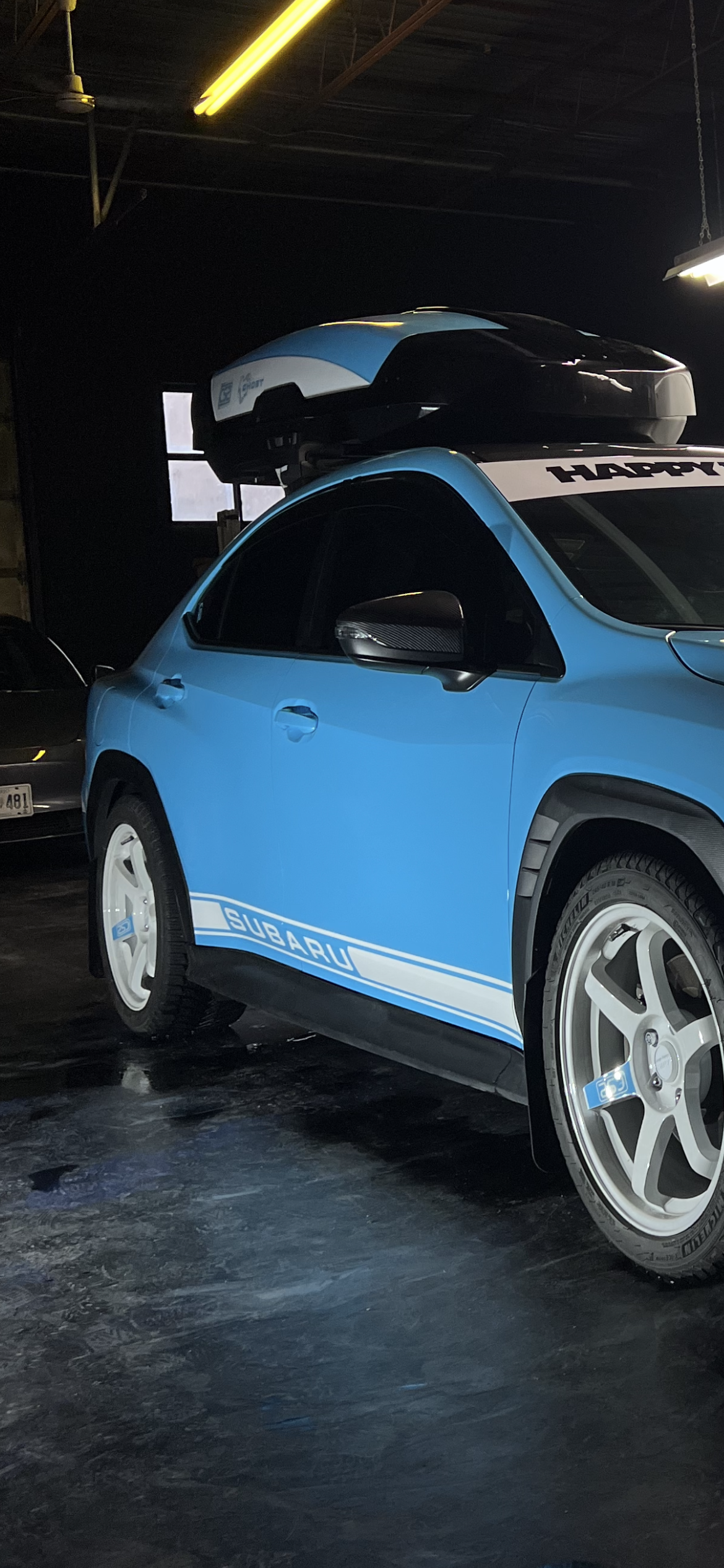 Subaru Stripes